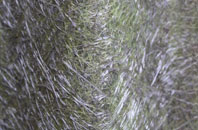 Ettiley Heath fibreglass roof work